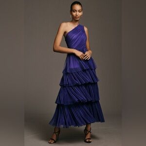 Hutch Xala One-Shoulder Tiered Pleated Tulle Maxi Dress